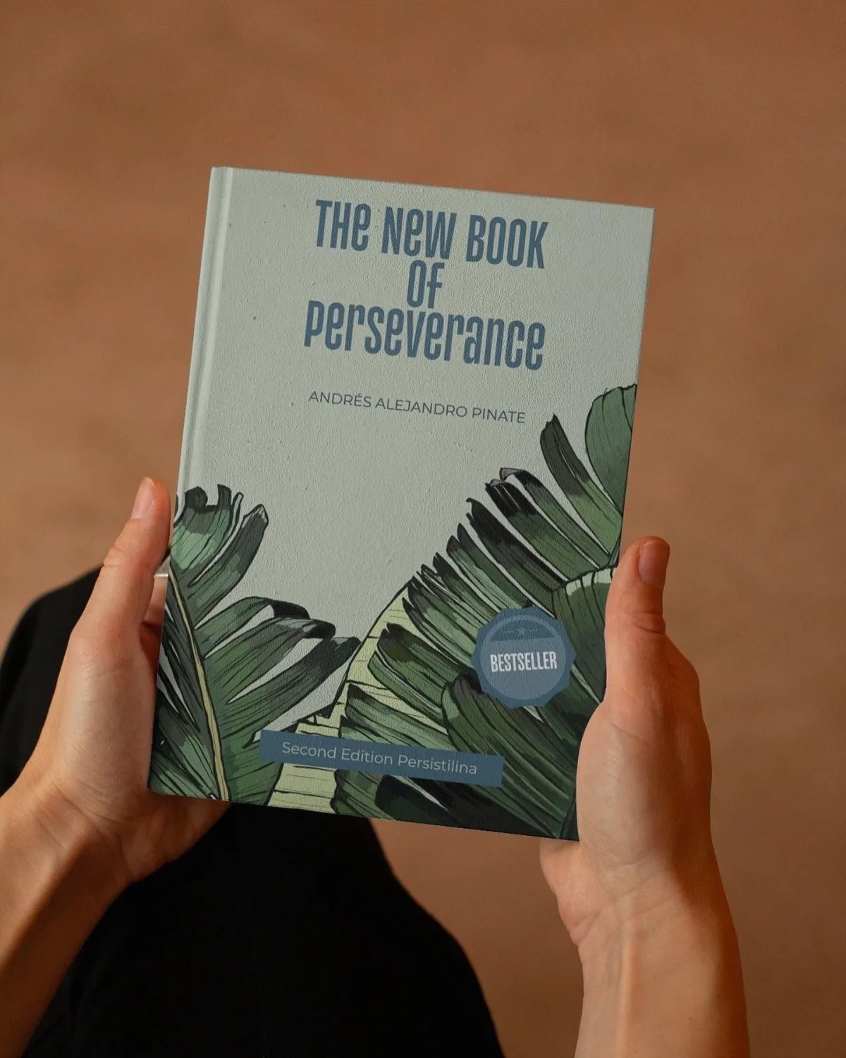 The New Book of Perseverance by Alejandro Pinate — English edition of Persistilina