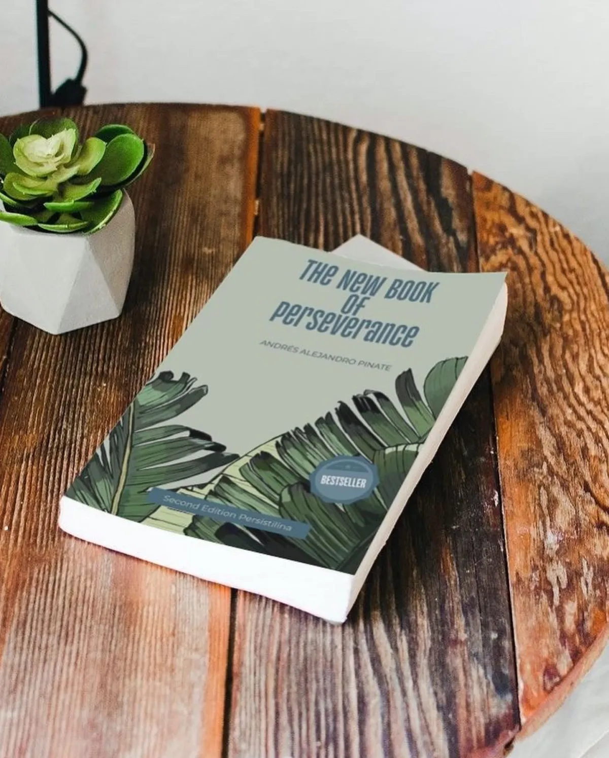 English edition of The New Book of Perseverance on a wooden table
