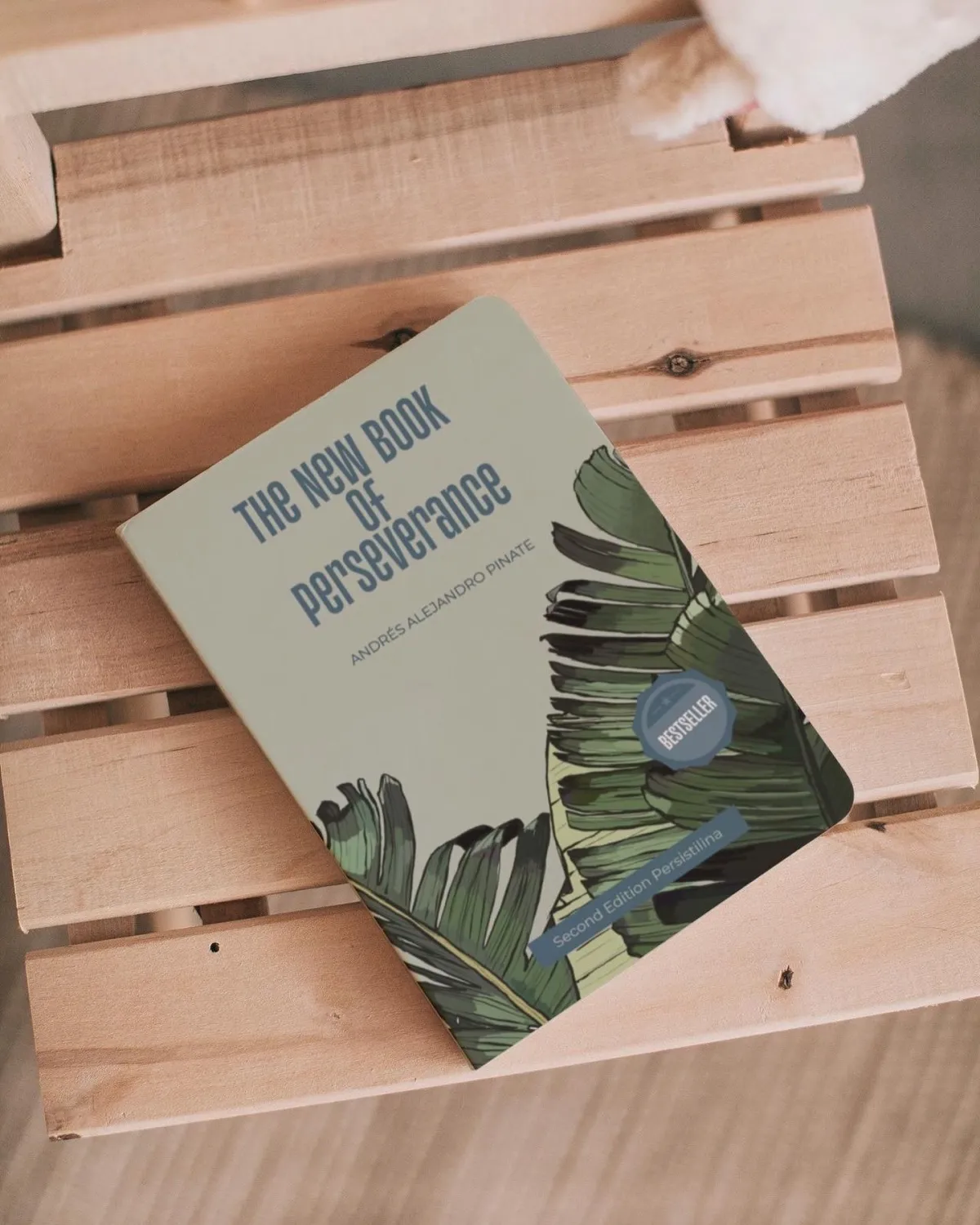 Paperback English edition of Persistilina, perseverance book by Alejandro Pinate